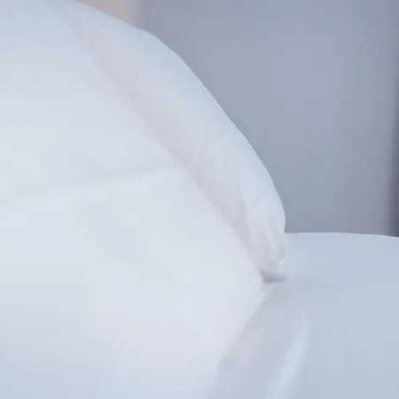 Modern بيت ضيافة أولبيا